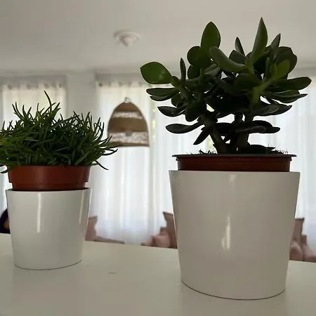 Belle Et Confortable Maison De Bordeaux