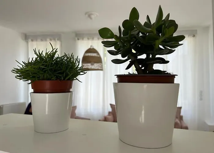 Belle Et Confortable Maison De בורדו